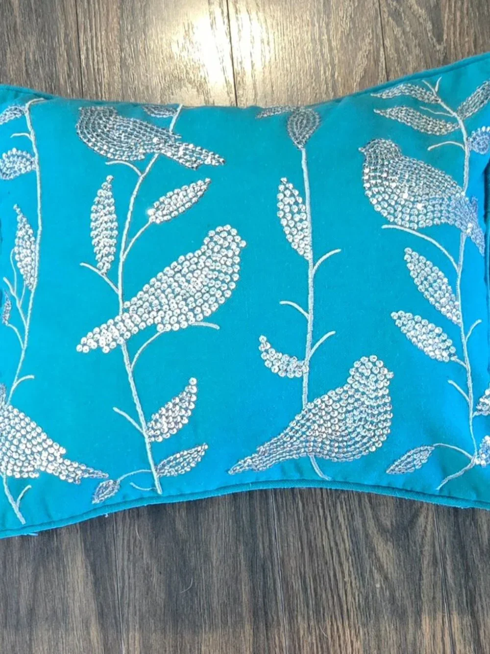 Cottagecore/Shabby Chic Style Aqua & Silver Sequined Accent Pillow